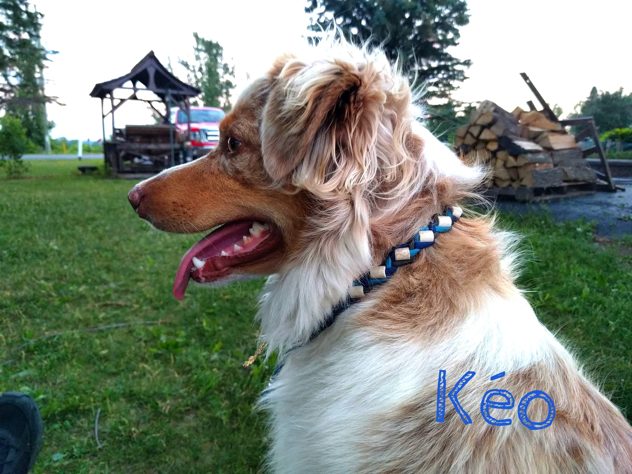 Kéo.jpg