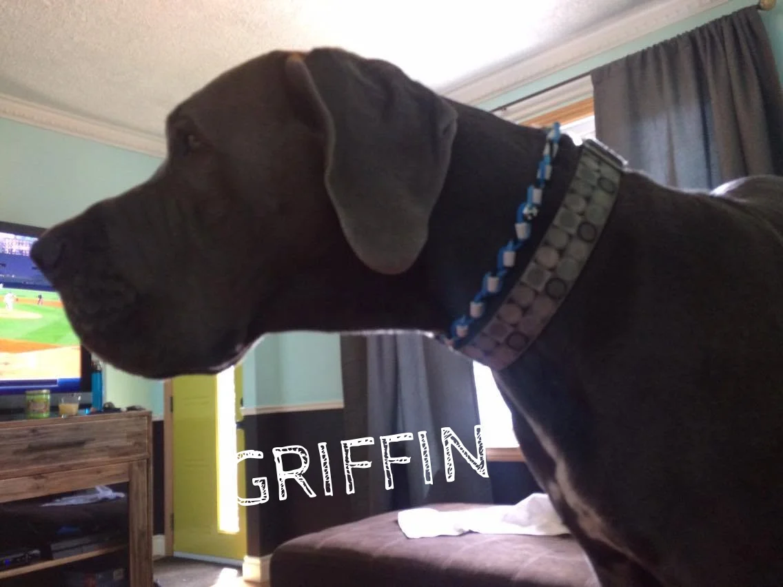 Griffin Dane.jpg