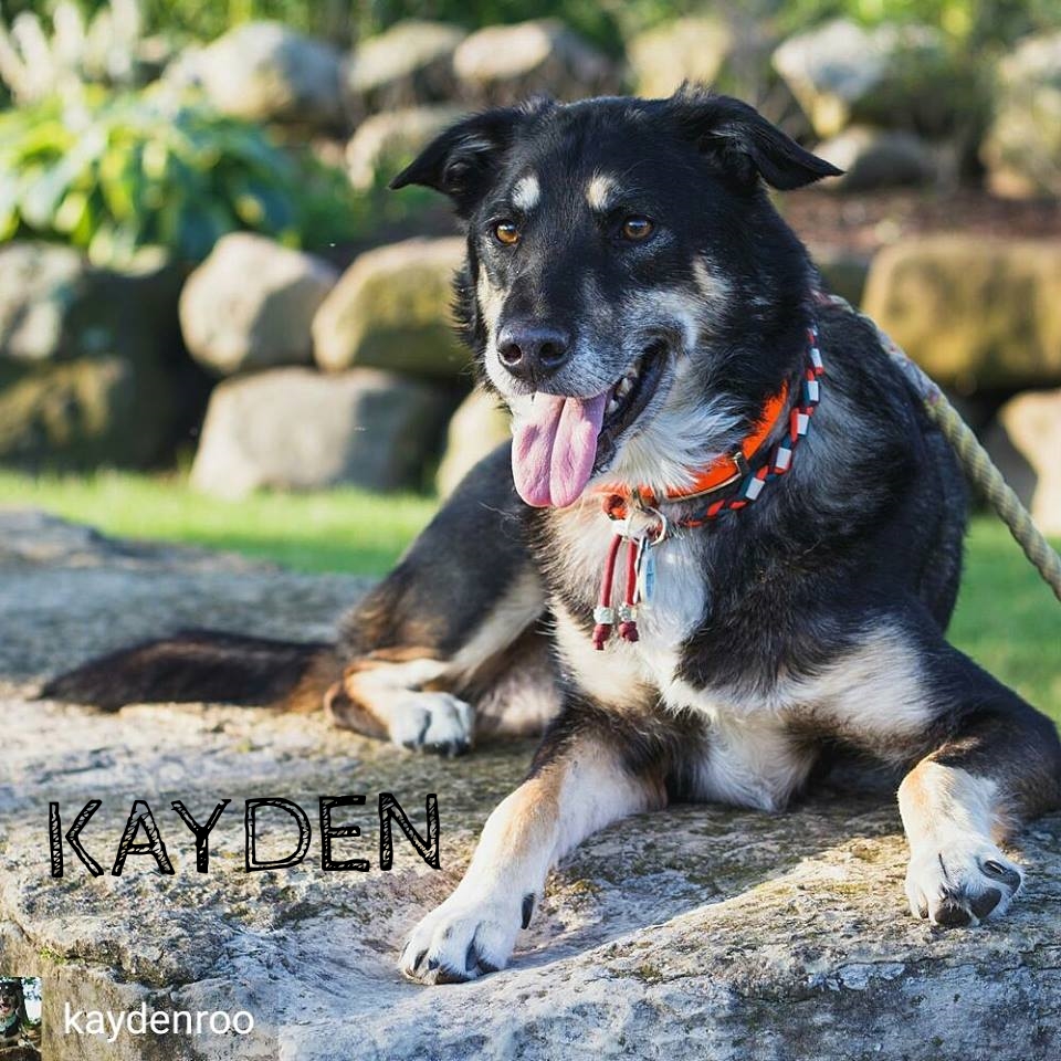 Kayden.jpg
