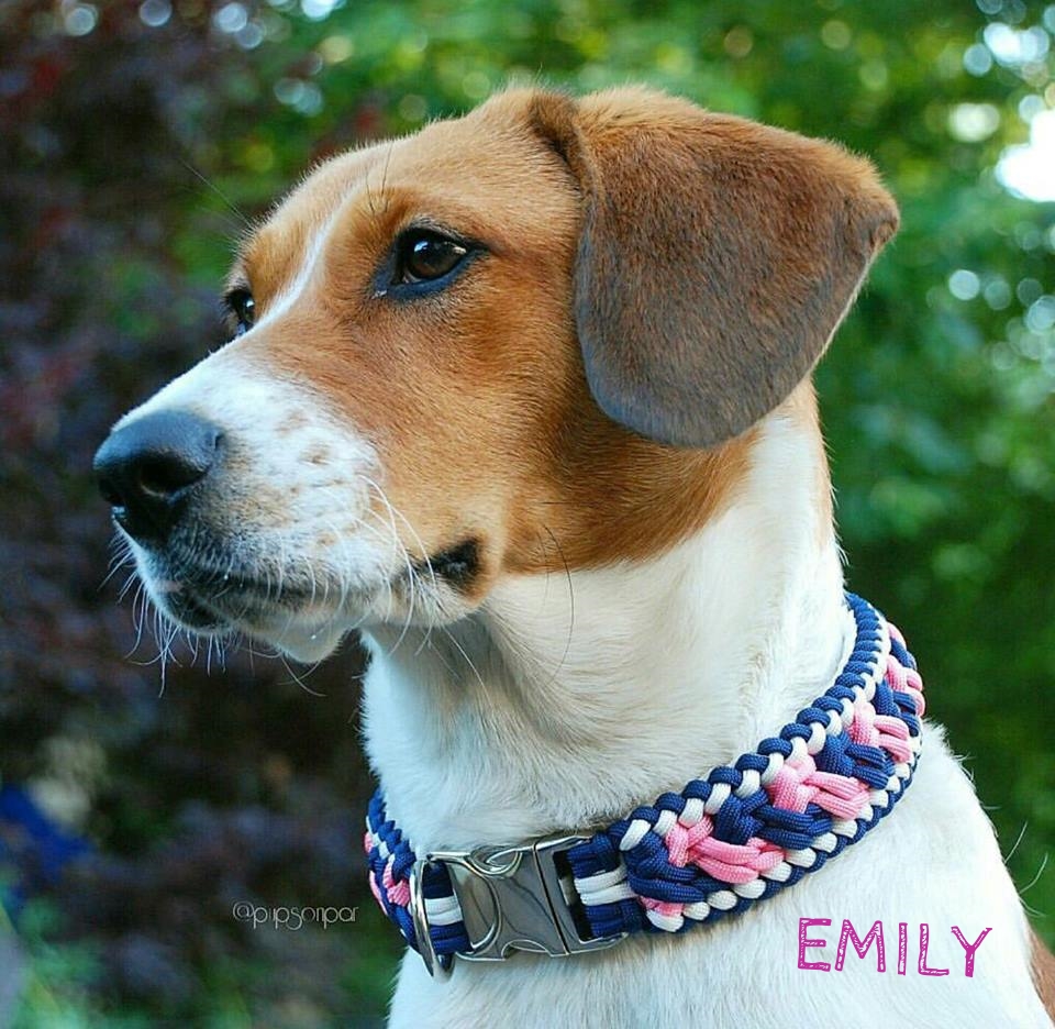 Emily.jpg