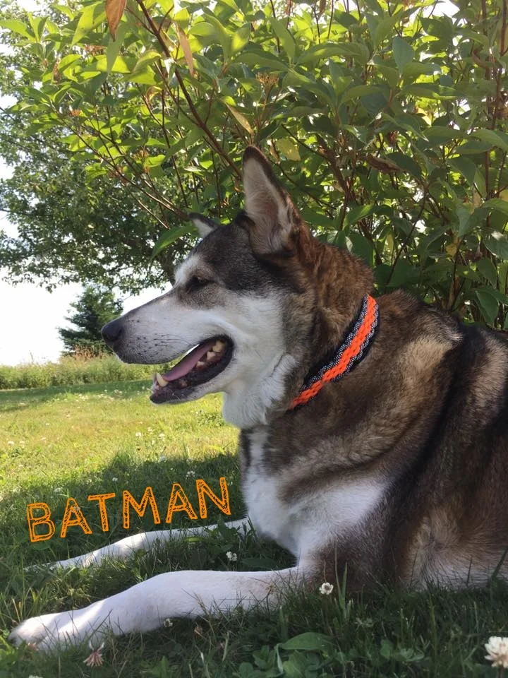 Batman.jpg