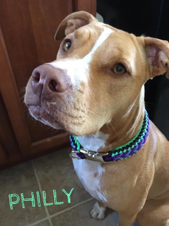 Philly.jpg