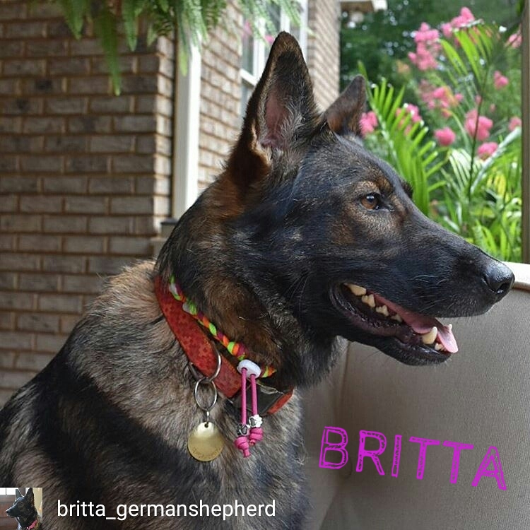 Britta.jpg
