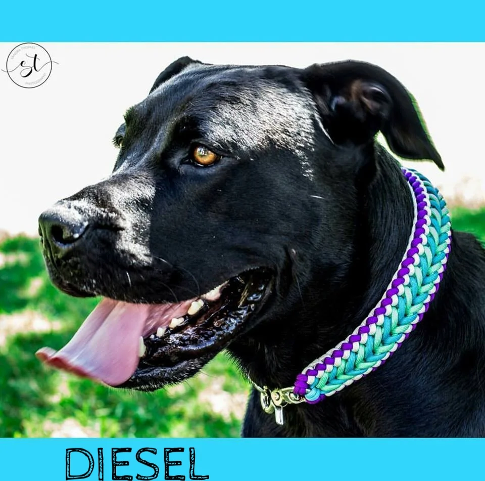 Diesel.jpg