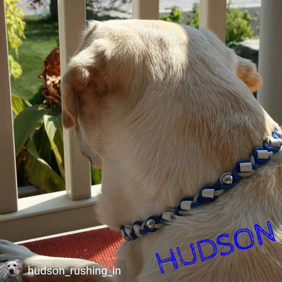 Hudson.jpg