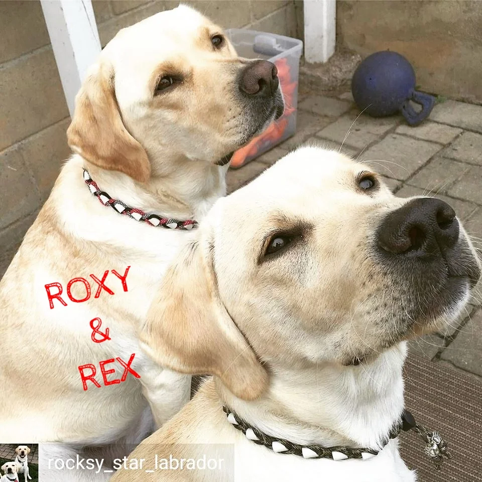 Roxy and Rex.jpg