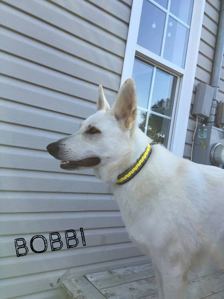 Bobbi.jpg