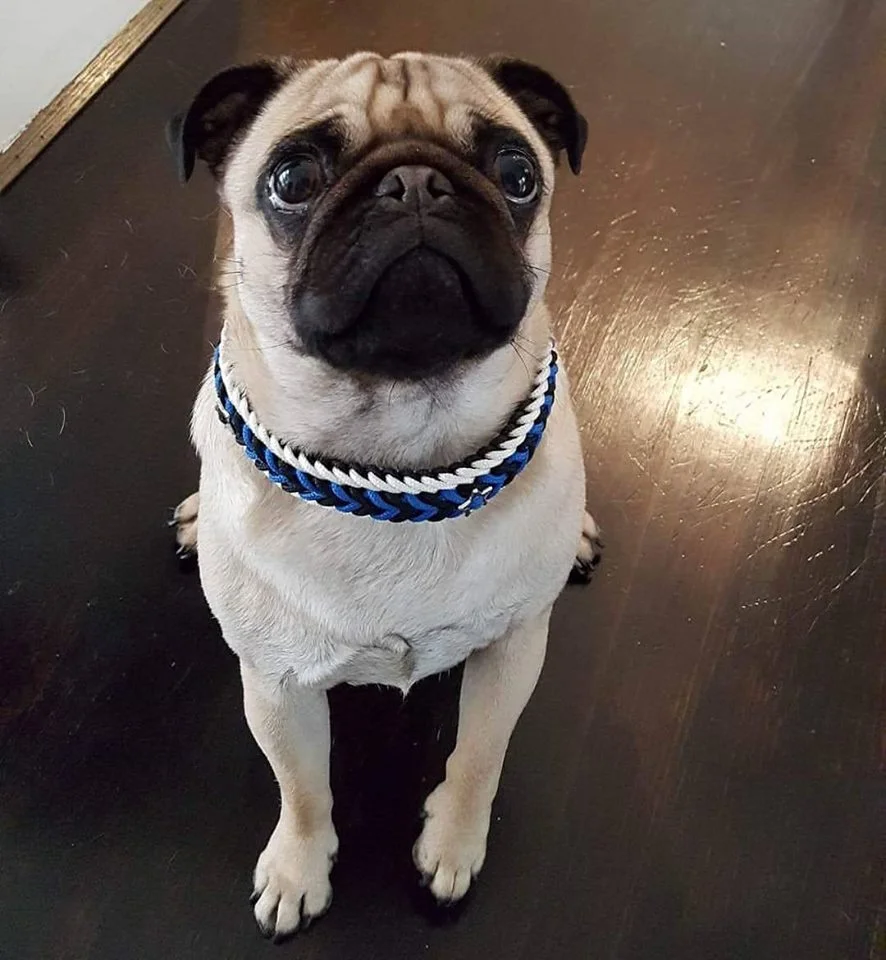 Larry.jpg
