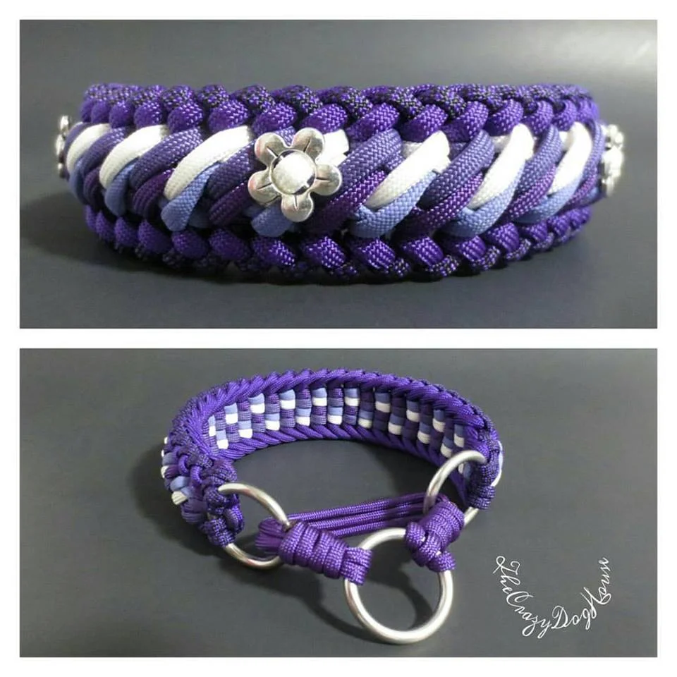 Dog collar Passion