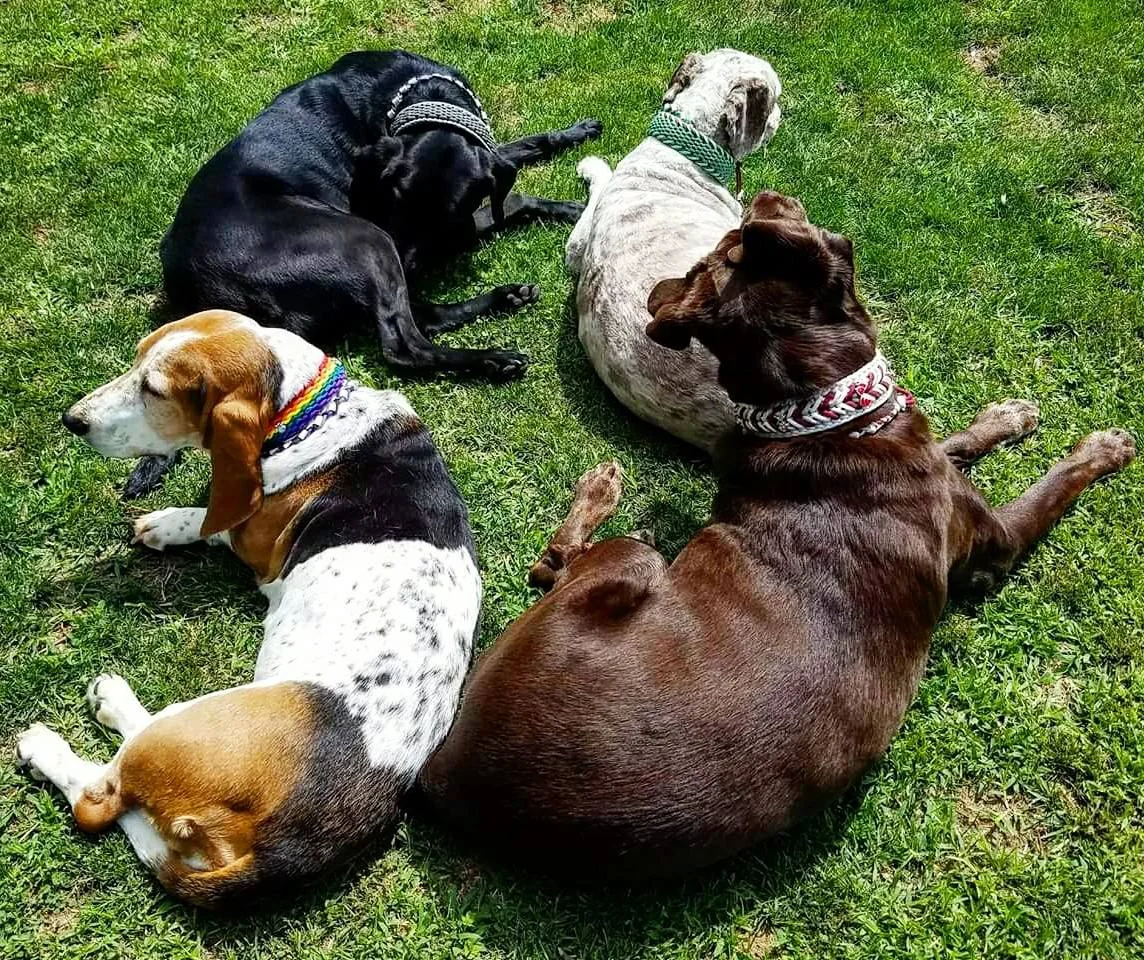 Deb's gang.jpg
