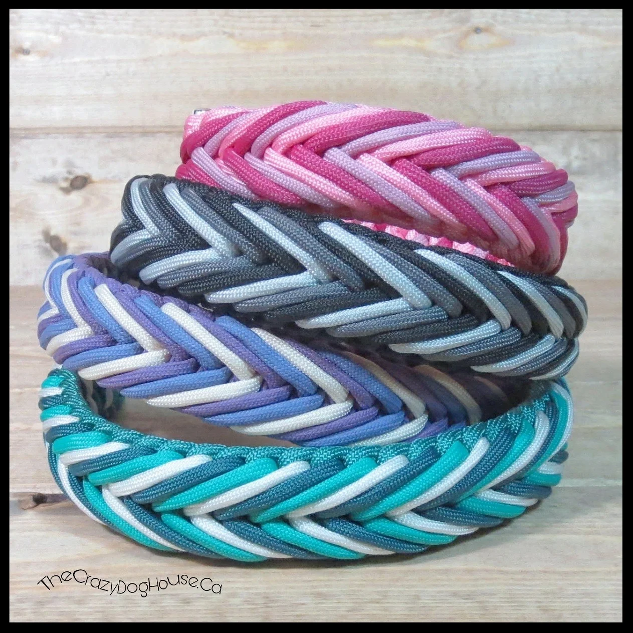 Dog collar CHIC ombre colours