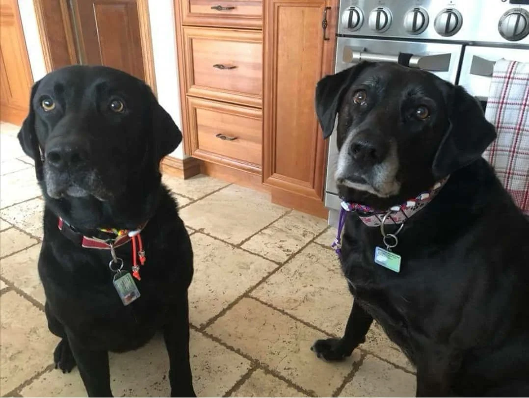Ricki and Lucy.jpg