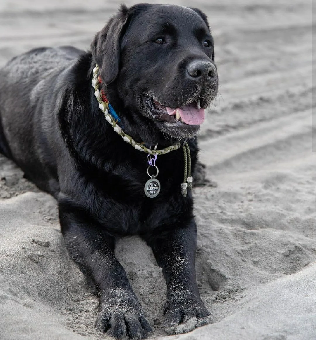 Wilson beach.jpg