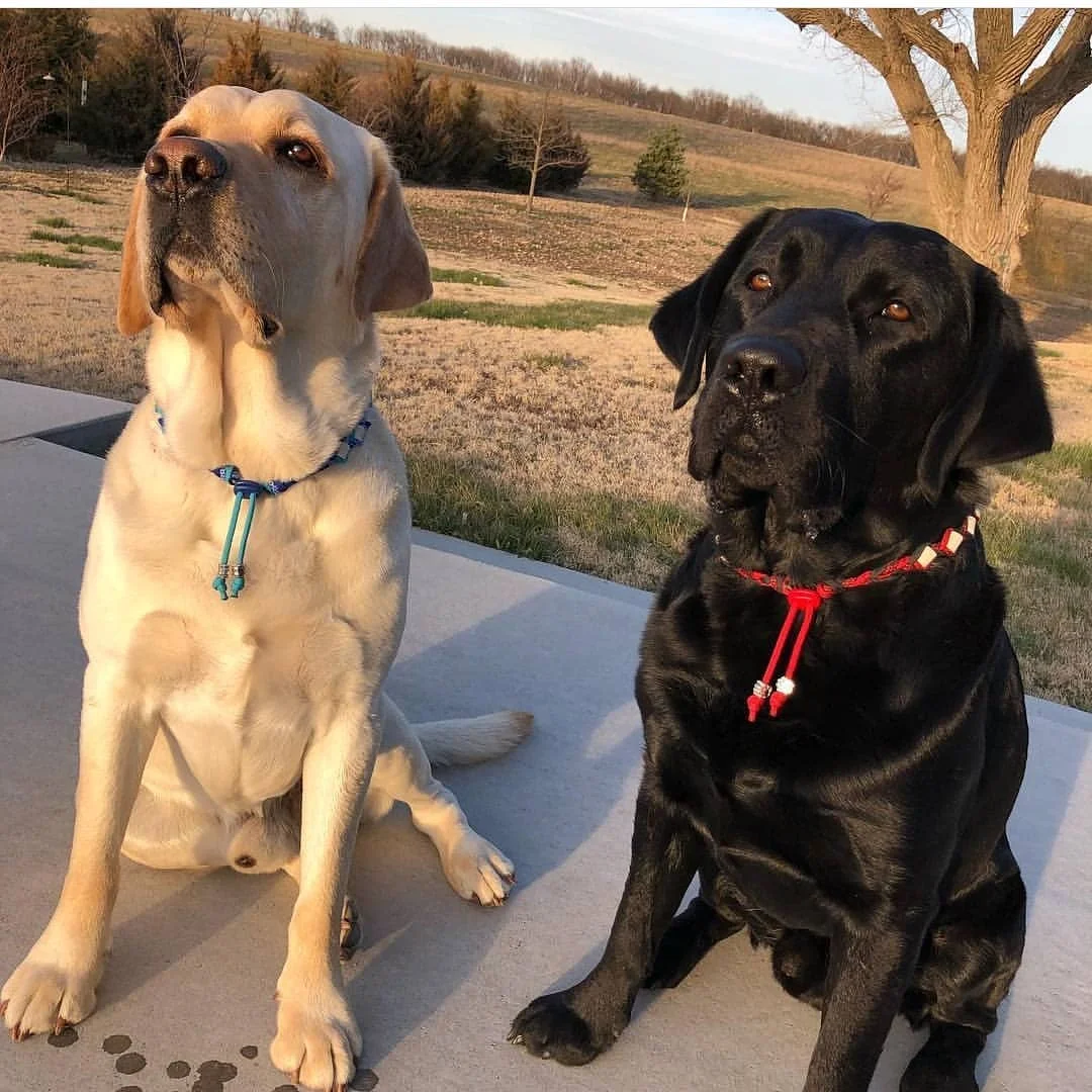 Gus and Kai.jpg
