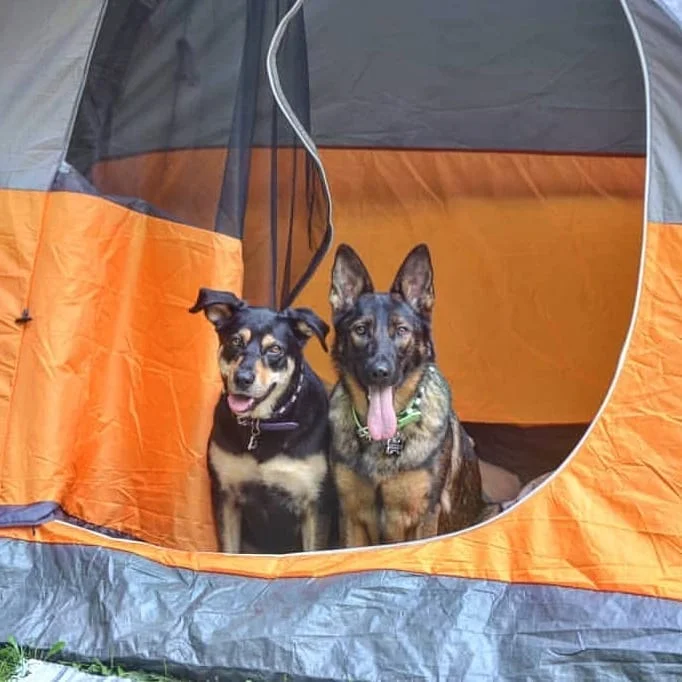 Remi and Dakota.jpg