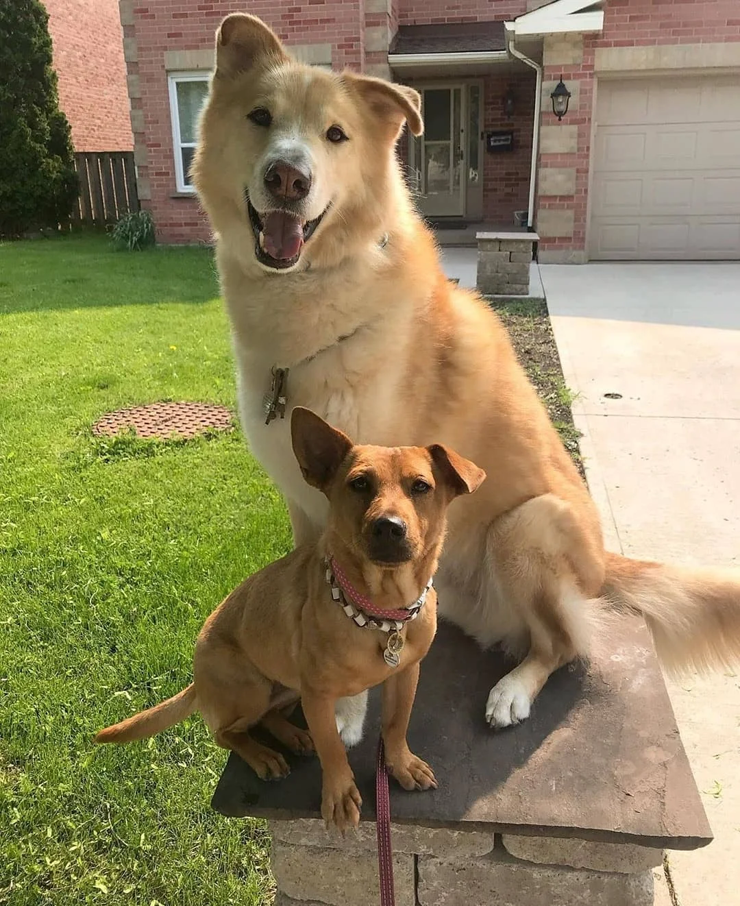 Easton and Tessa.jpg