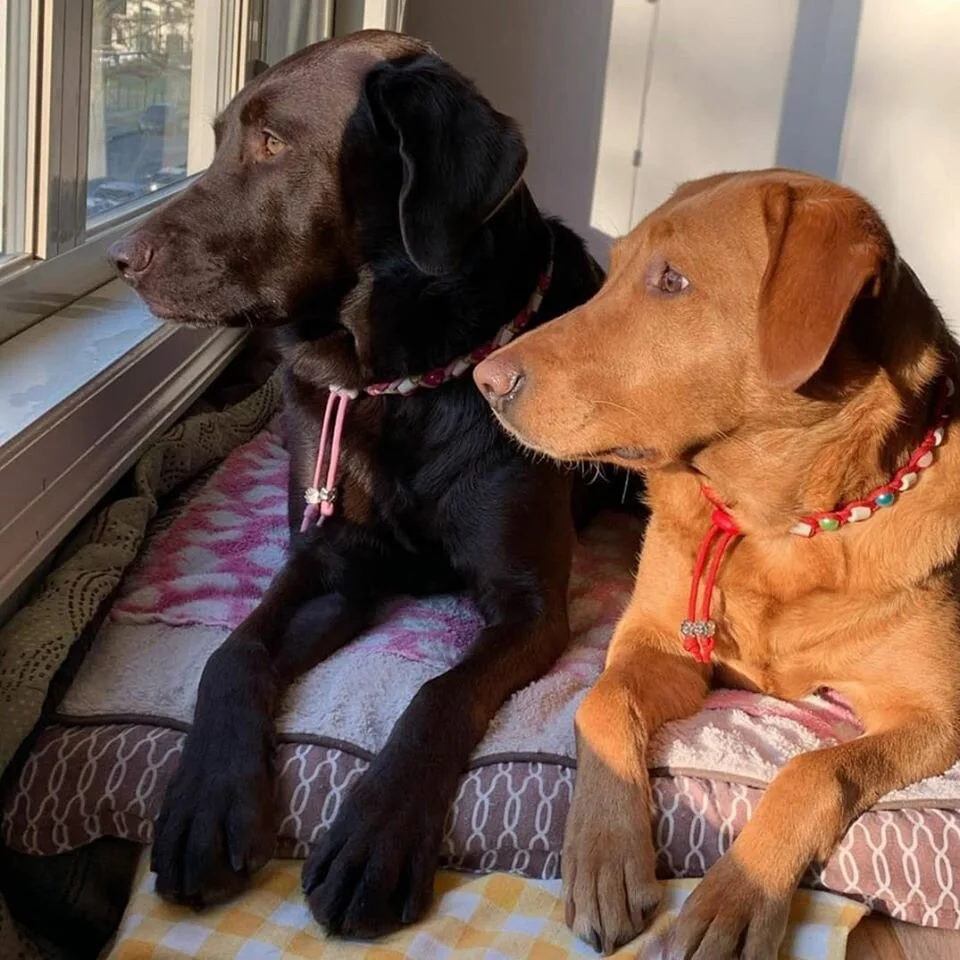 Nutella & Caramella.jpg