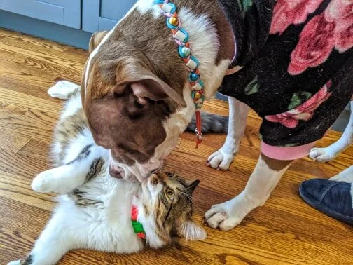 Sophie & Juspur.jpg
