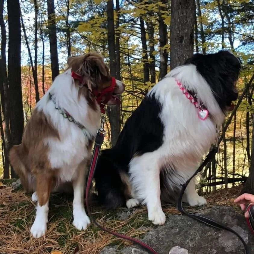 Annie and Meeka.jpg