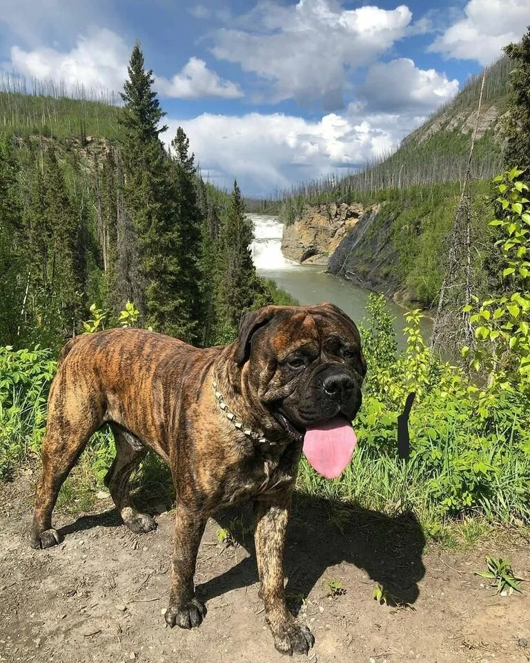 Burt.jpg