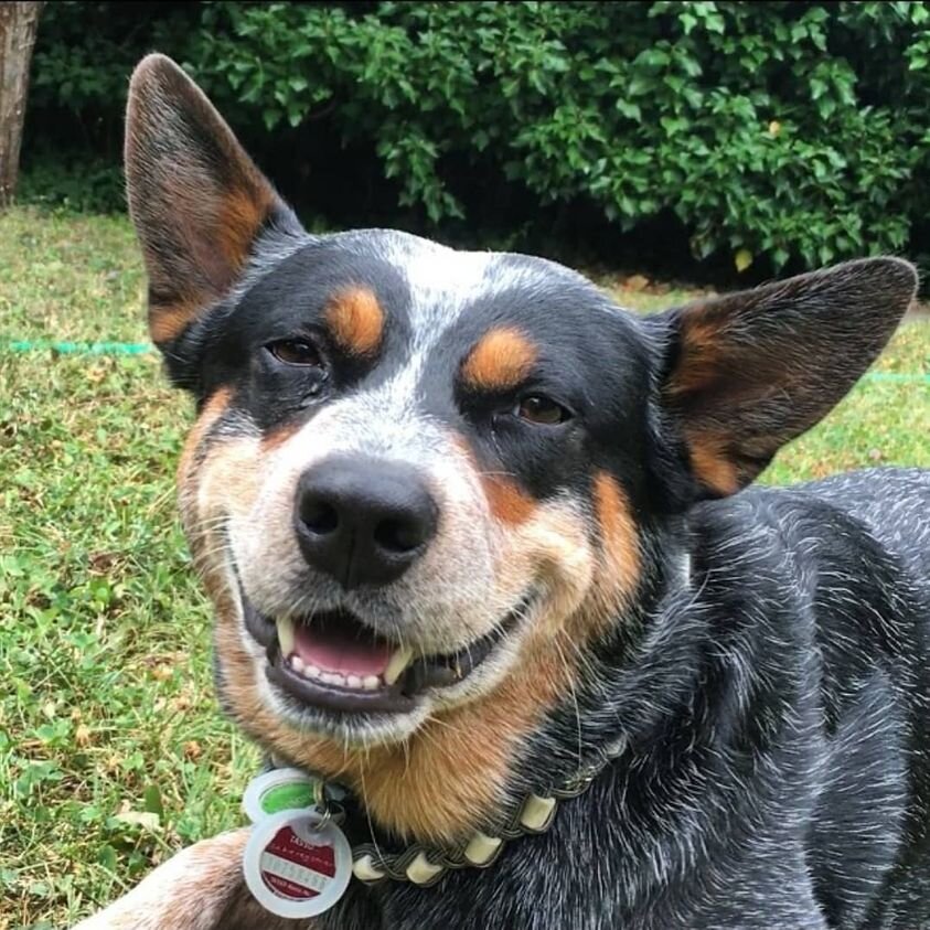 Concho.jpg