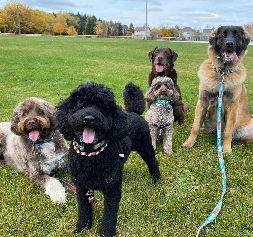 Family portrait.jpg
