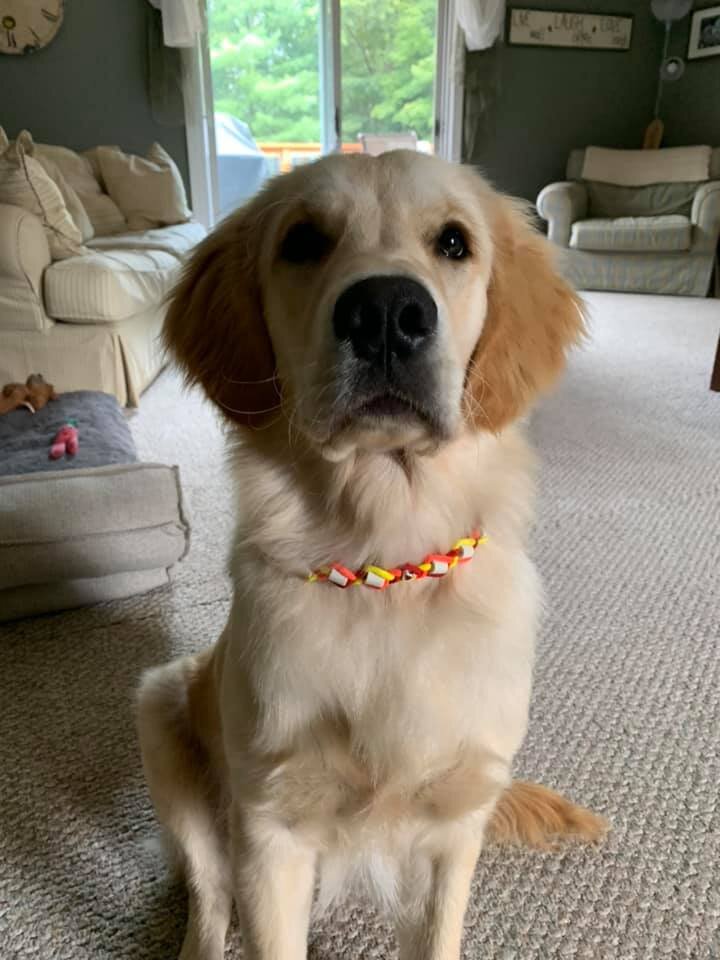 Hudson.jpg