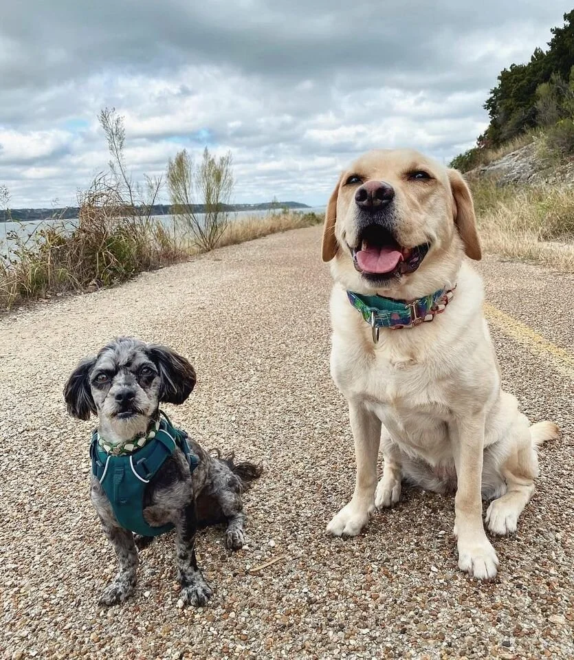 Nala and Renegade.jpg
