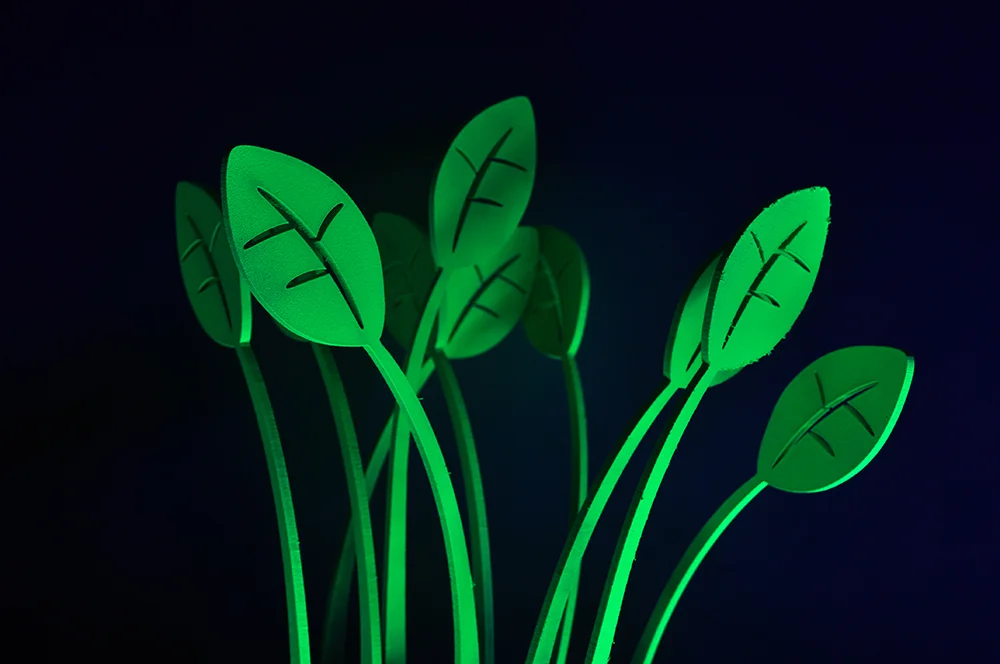 magic_garden_1000.jpg