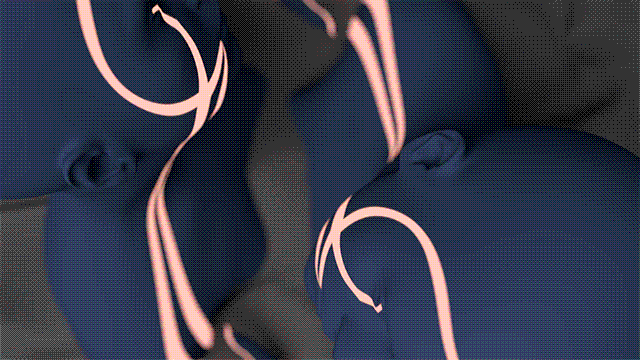 revision_gif_laila_nanuo_II.gif