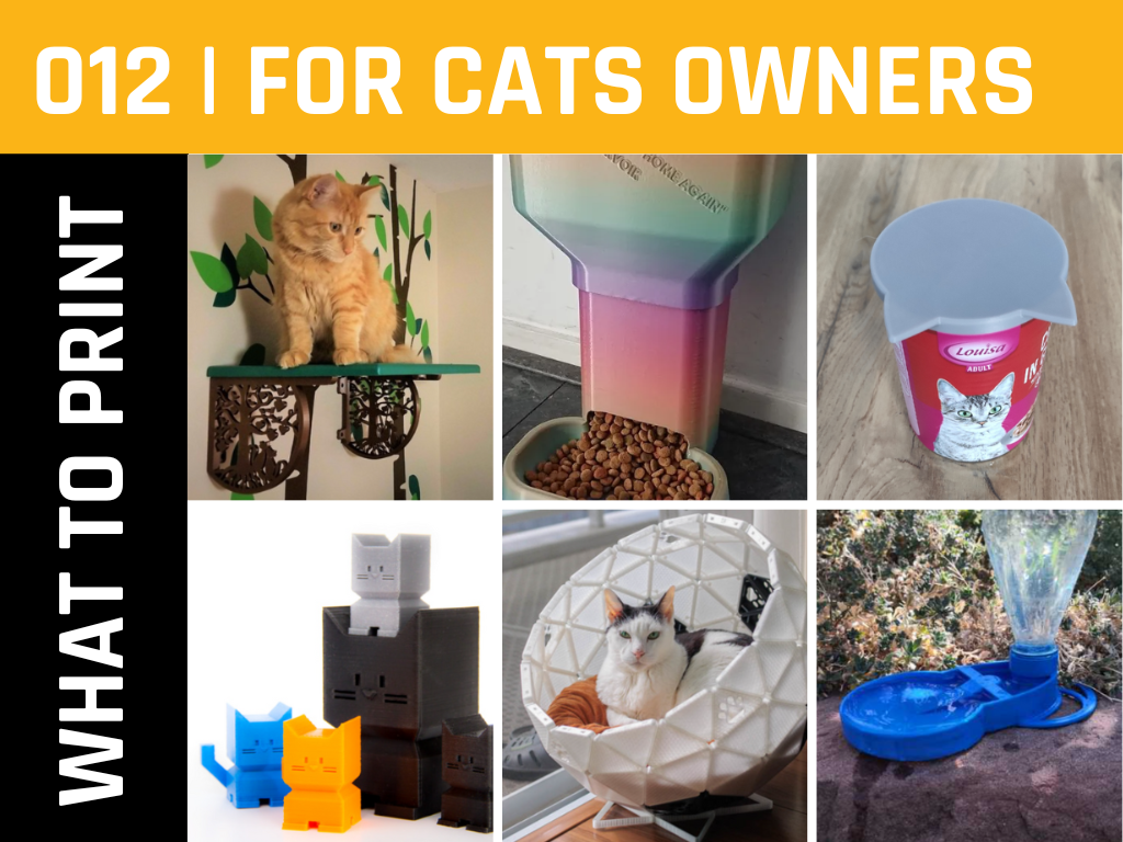 What to print For Cats Owners.png