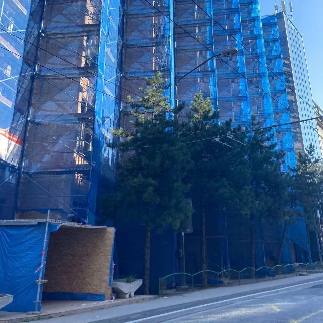 scaffolding on a building