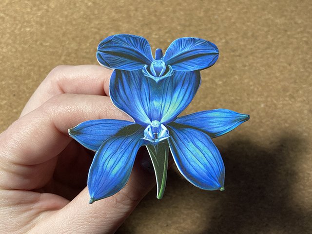 AI Orchid Jewelry
