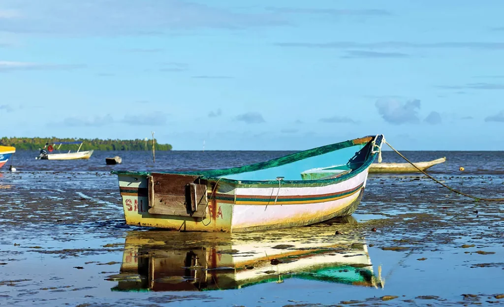 Art is Medicine: A Two-Way Flow of Talent Between Brazil and Miami | InventUM