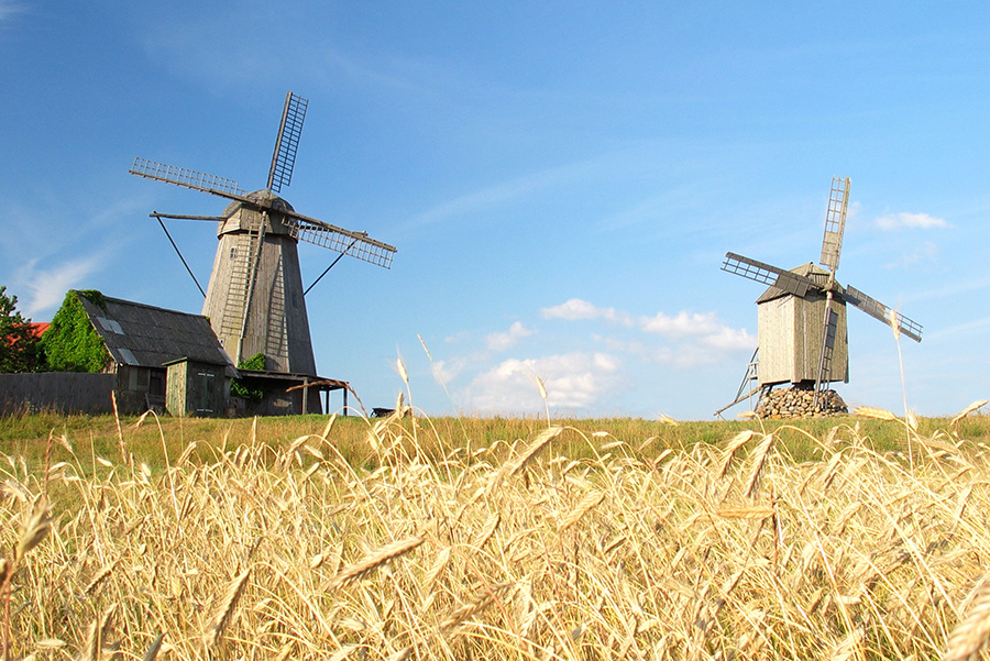 Saaremaa island