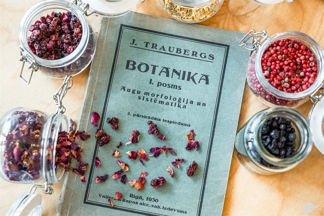 gin masterclass riga.jpeg