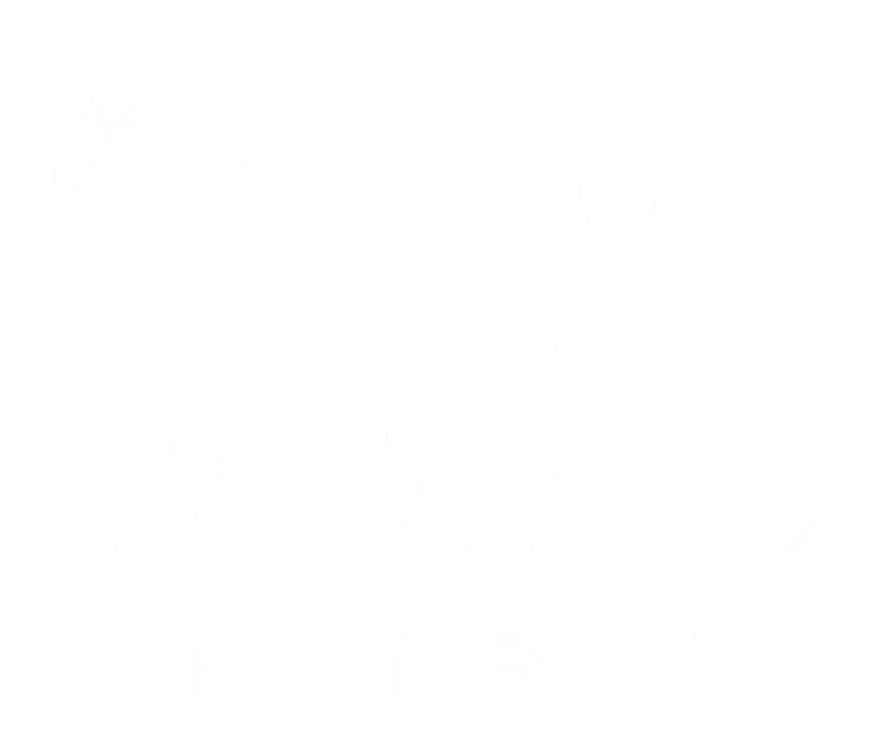 1DMC World-logo.png
