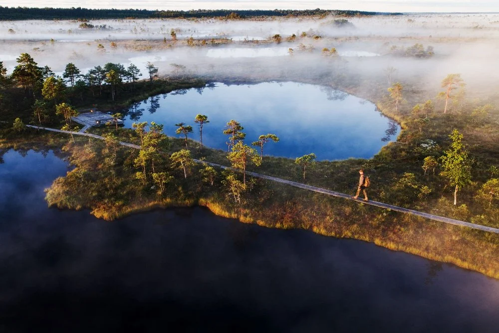bog-tour-tallinn.jpg