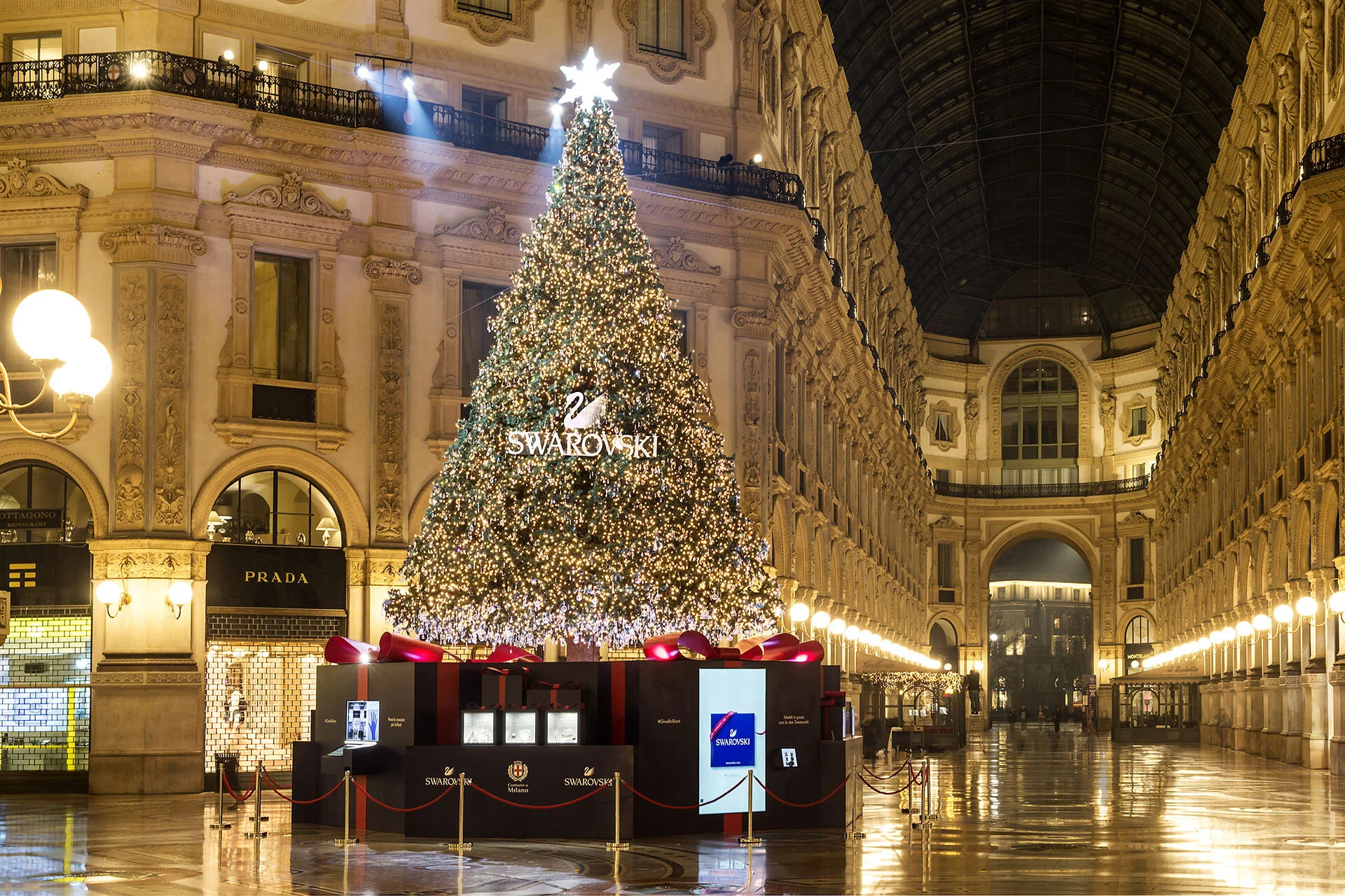 swarovski_albero_2017_0551.jpg