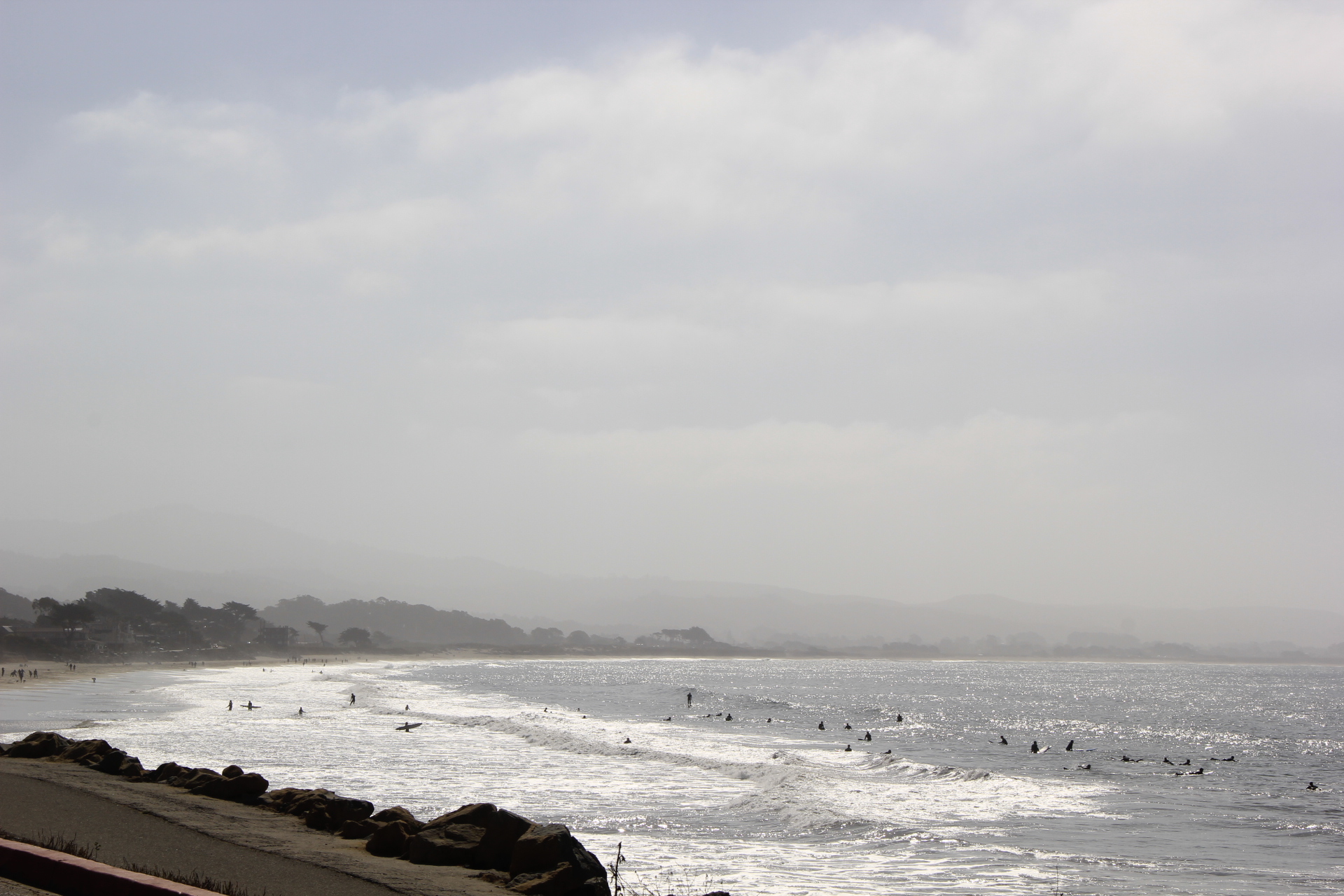 Sharks or Surfers?