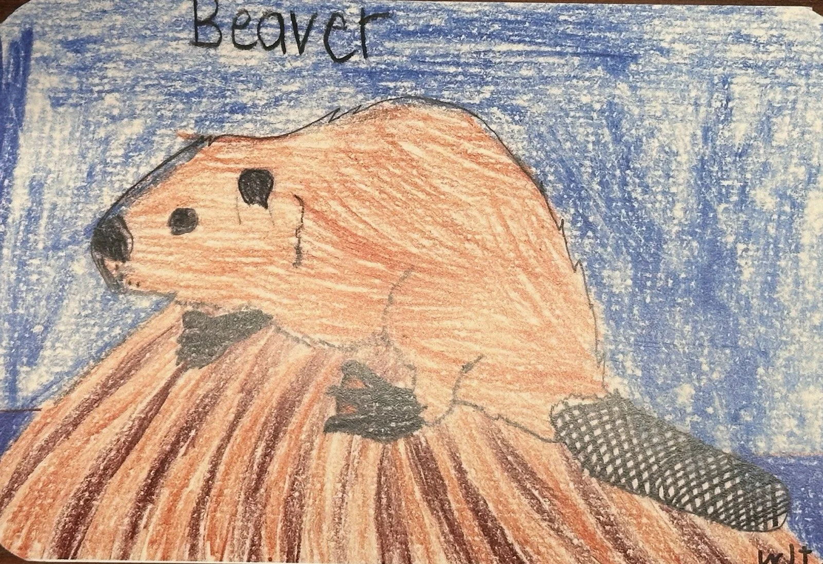 Beaver Postcard.jpg