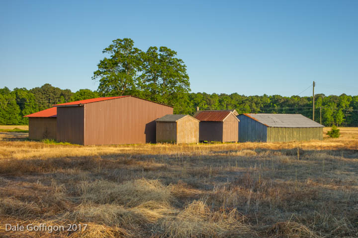 Seaside Road Sheds