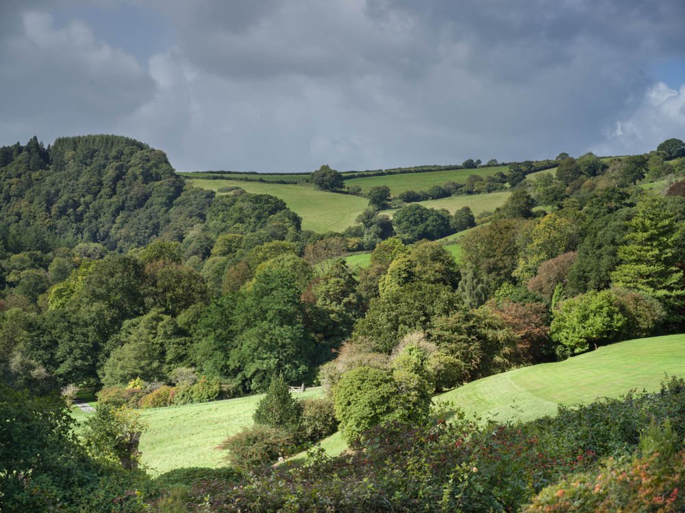 The Devon Hills