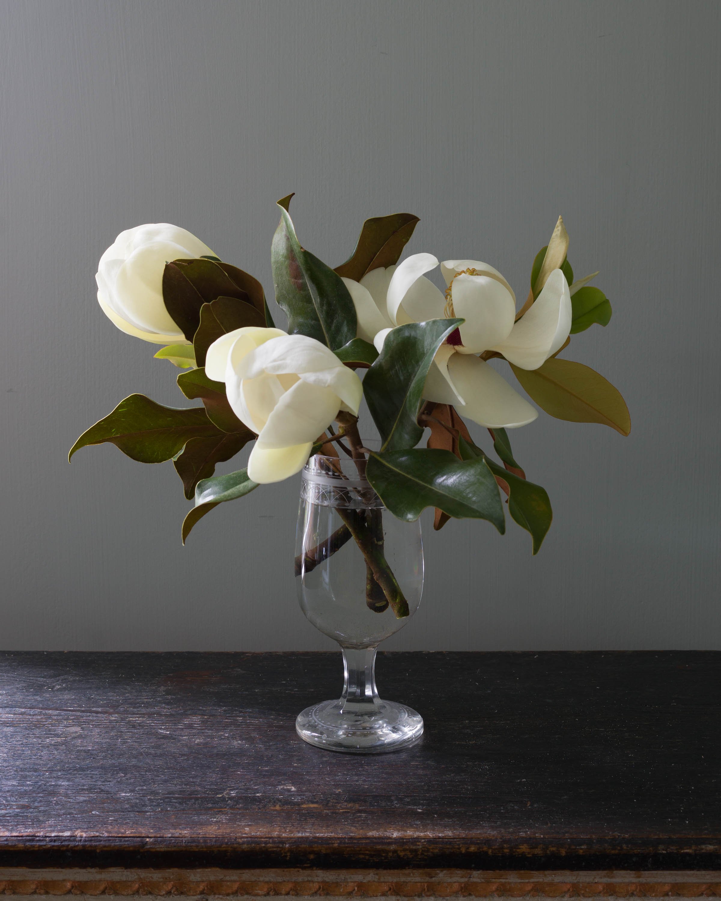 Magnolias in Etched Glass