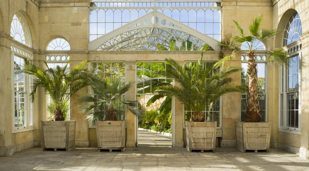 Syon Park Conservatory I