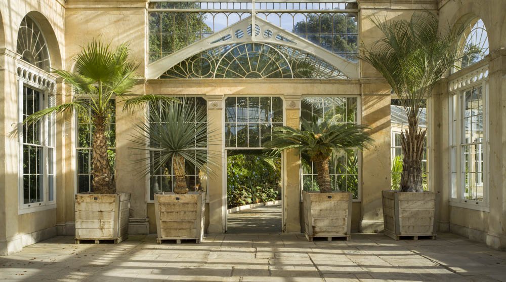 Syon Park Conservatory III
