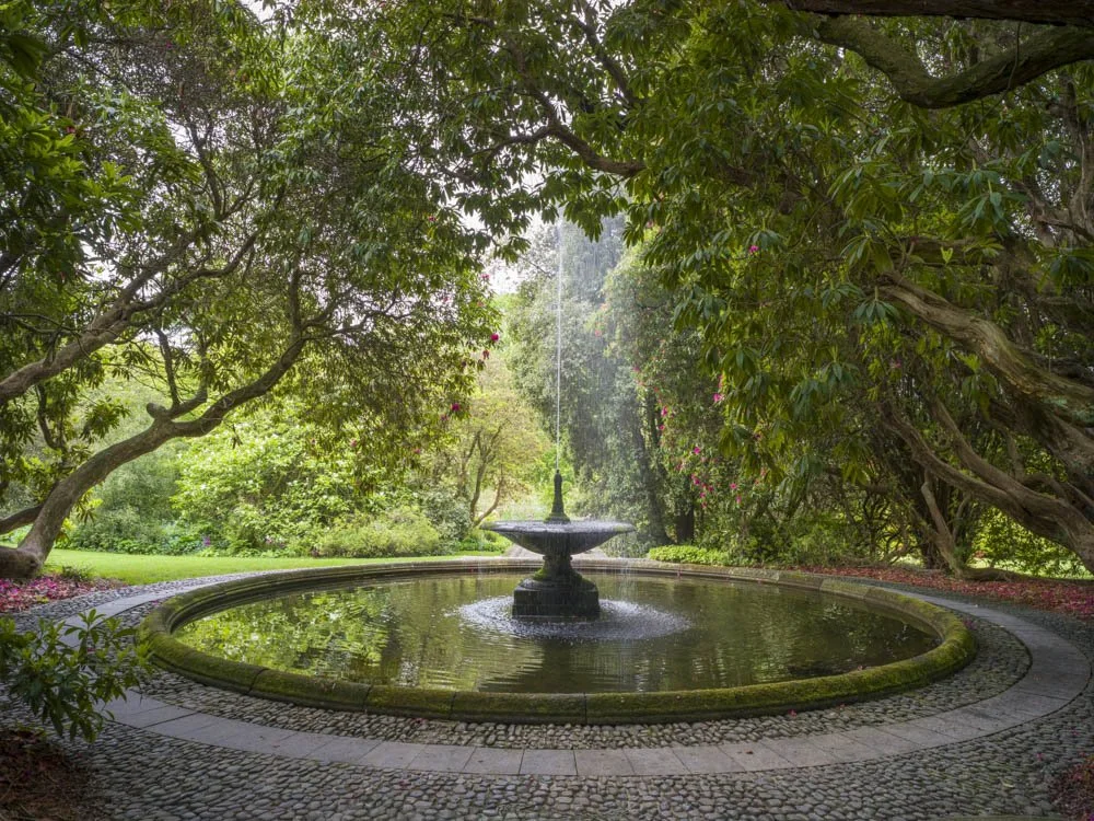 The Fountain