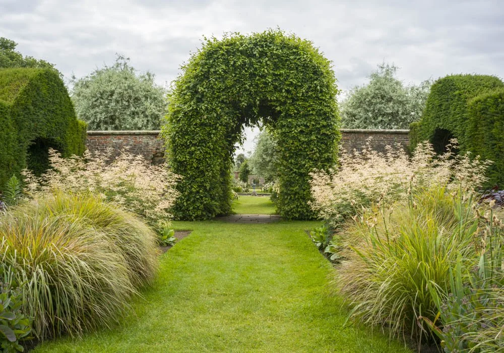 Three Arbors.jpg