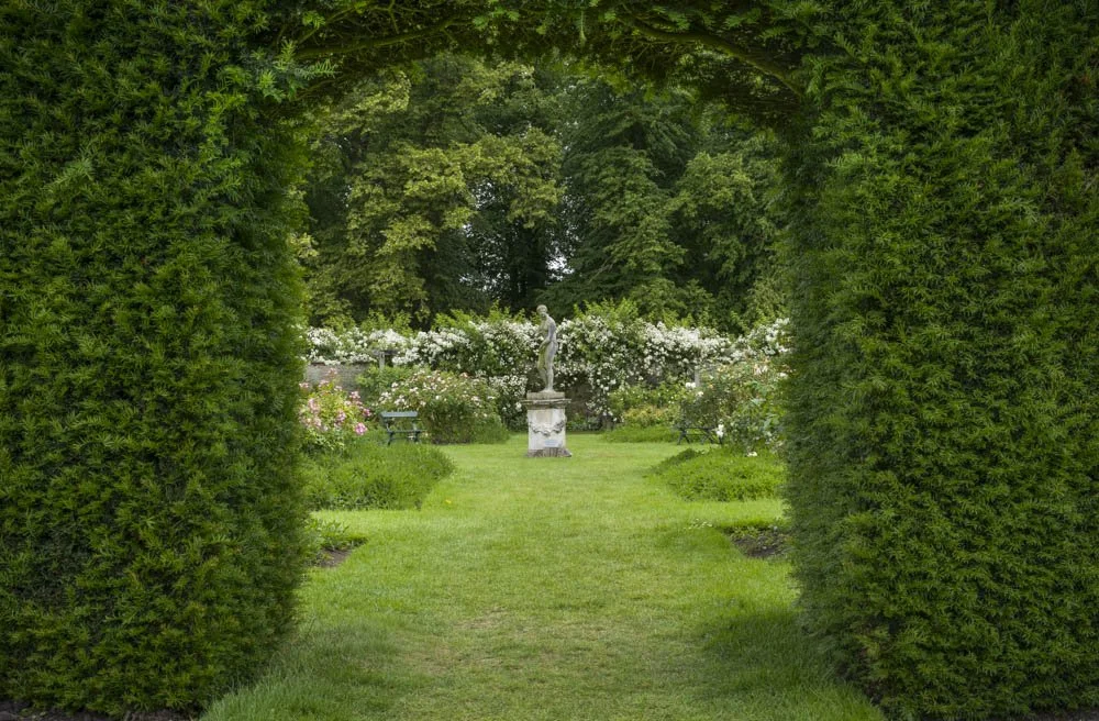 View Through the Yew.jpg