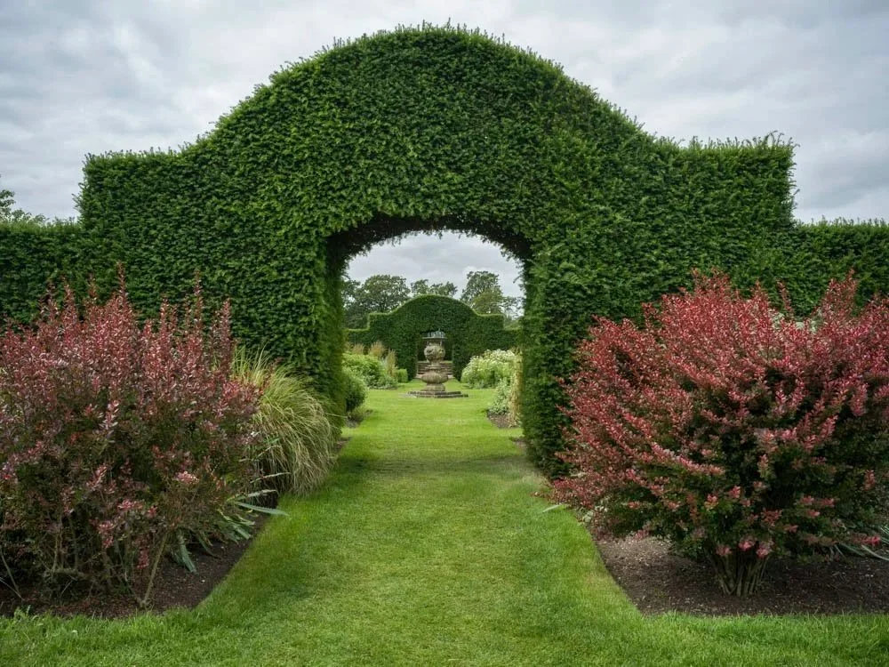 Double+Arches.jpg